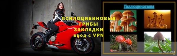 PSILOCYBIN Алексин