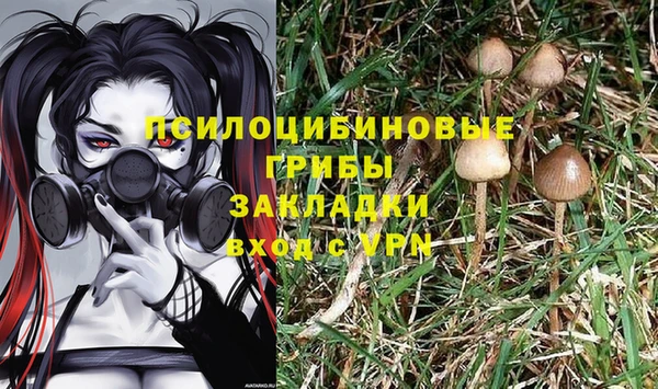 спиды Арсеньев