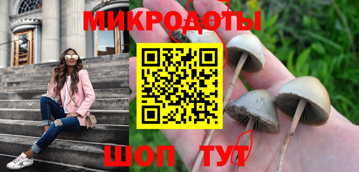 Псилоцибиновые грибы GOLDEN TEACHER Десногорск